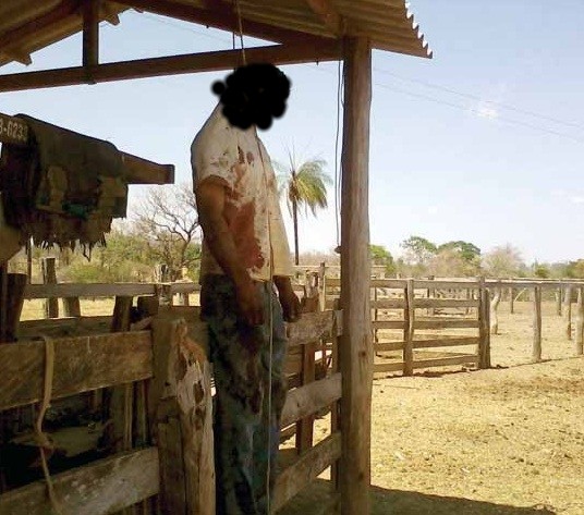 Chacina em Campos Belos: vaqueiro mata enteada, ajudante, esfaqueia esposa e suicida-se