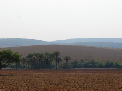 Estão acabando com o cerrado goiano