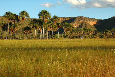 Campos Belos e nordeste goiano podem retomar terras da Bahia