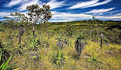 Conheça a Chapada dos Veadeiros e saiba o que fazer no local