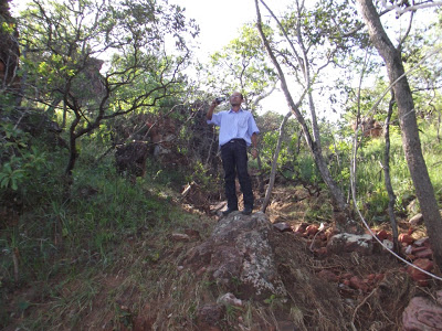 Ambientalista vai criar ONG em defesa do meio ambiente e dos direitos sociais