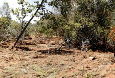 Desastre na Serra Geral: governo diz que consequências são irreversíveis e pode afetar parque de cavernas