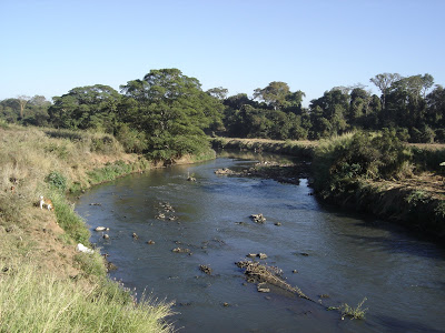 Questão ambiental toma corpo em Campos Belos e demais municípios do nordeste de Goiás e sudeste do Tocantins