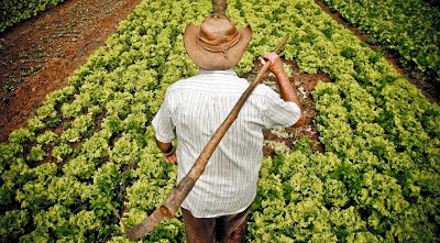 Universidade Federal de Goiás abre inscrições para especialização em Agroecologia e Desenvolvimento Rural Sustentável