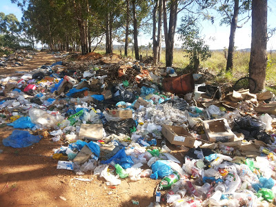 Alto Paraíso negligencia descarte de lixo urbano