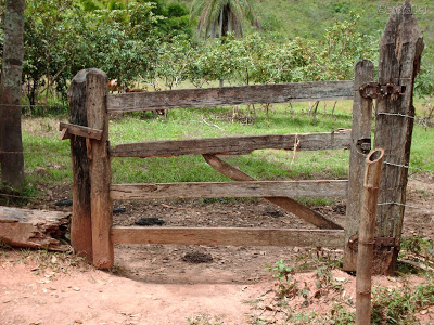 Campos Belos: polícia prende ladrão de zona rural. Crimes em fazendas estão se tornando rotina