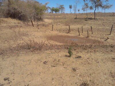 Seca ameaça zona rural de Campos Belos