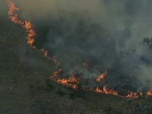 Fogo nos morros de Campos Belos:  Crueldade e irresponsabilidade