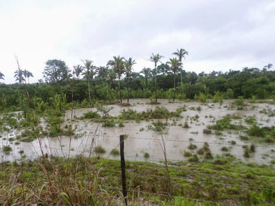 Chuvas preocupam nordeste de Goiás e sudeste do Tocantins