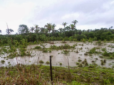 Arraias:barragem no Rio Bezerra transborda e produtores ficam ilhados