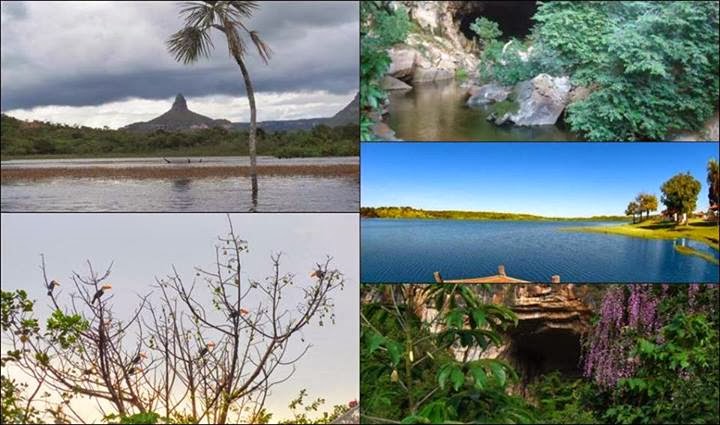 São Domingos em versos, por Thâmara Brandão