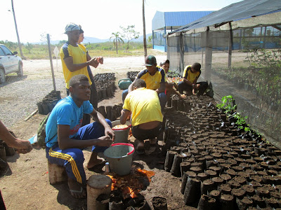 Vitória Parcial: governo do Tocantins recredencia por 5 anos Escola Agrícola de Arraias (TO)