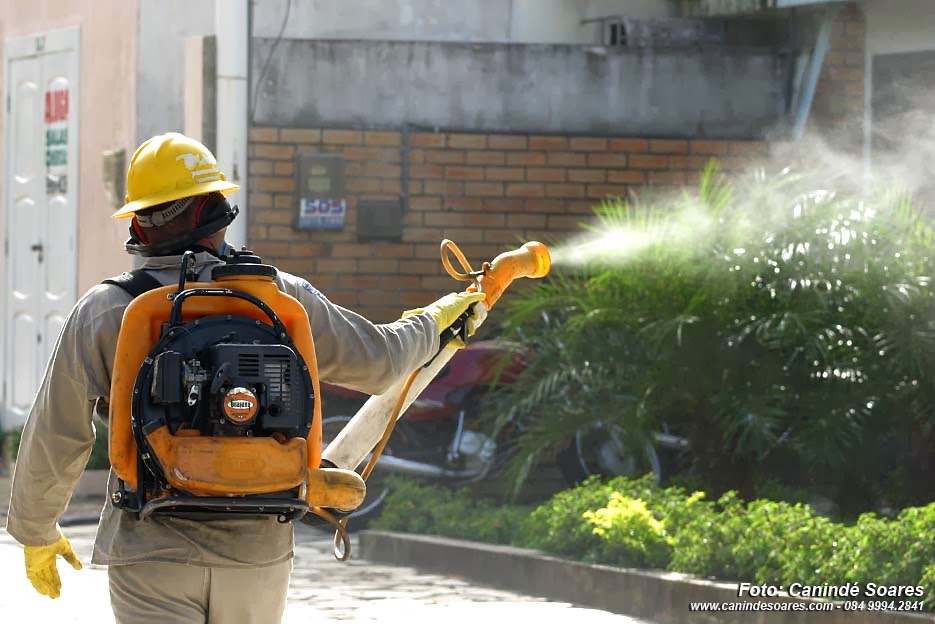 Dengue em Cavalcante I: agradecimentos