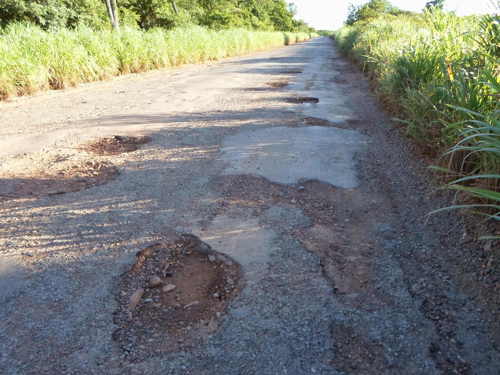 Enquanto Palmas (TO) manifesta-se por eleição indireta, no sudeste do Estado terá manifestação contra situação de rodovia