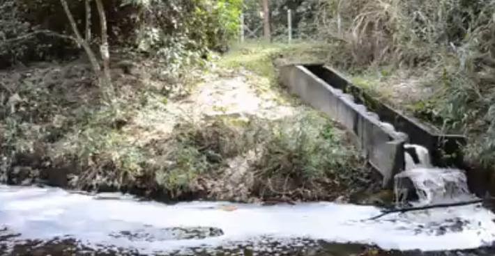 Gravíssimo: Saneago continua a despejar em rio líquido poluidor de estação de tratamento de esgoto