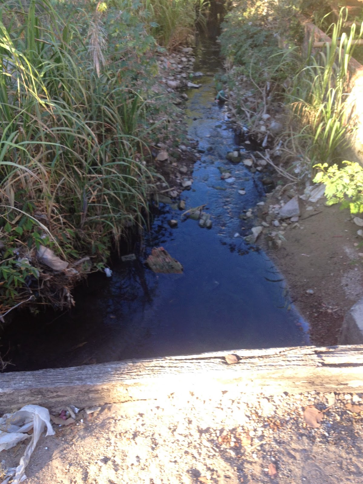 Inadmissível: “esgotão” corre a céu aberto em Campos Belos