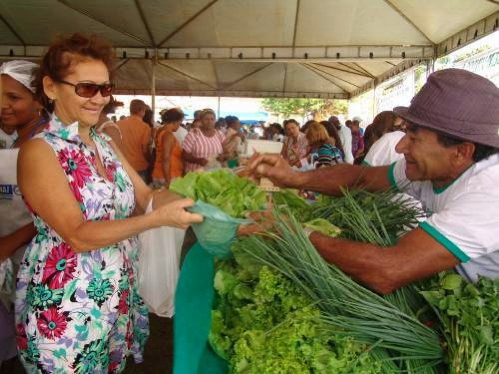 Feira da Agricultura Familiar integra programação dos 274 anos de Arraias (TO)