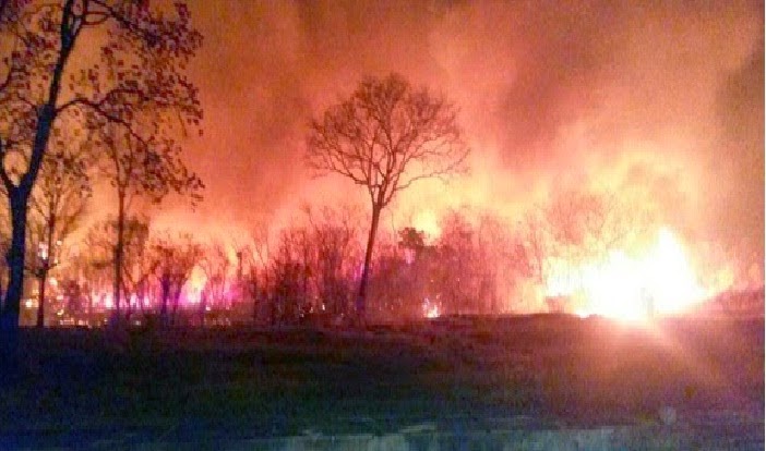 Parque Estadual Terra Ronca arde em chamas há pelos menos 5 dias