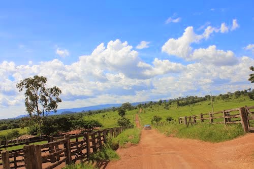 Novo assalto em São Domingos (GO). Neste Domingo, homens armados assaltaram a Fazenda Maracujá