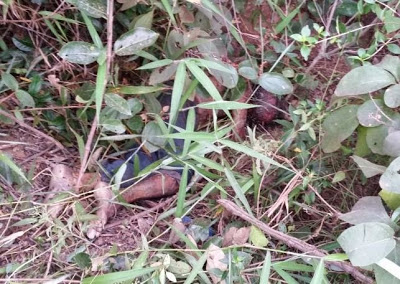 Homem é encontrado morto em chácara de São João da Aliança. Corpo do idoso foi achado ainda há pouco