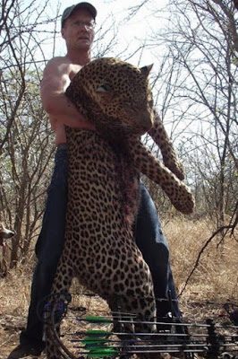 Quem é mais animal, e da pior espécie? Caçador americano lamenta ter matado leão símbolo do Zimbábue