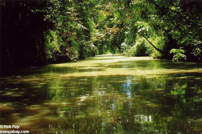 Crime ambiental: Rio Montes Claros, em Campos Belos, é transformado em canal de esgoto