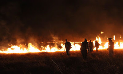 Incêndio na Chapada foi provocado, afirmam representantes do ICMBio