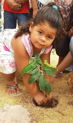 Curso Superior de Tecnologia em Agroecologia da UEG está com vestibular aberto até dia 10 de Outubro