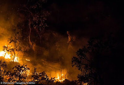 Incêndio fecha Parque da Chapada dos Veadeiros no feriado