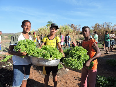 Escola Agrícola de Arraias (TO) e Ruraltins promovem Dia de Campo