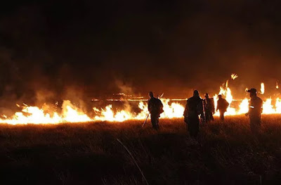 Políticos na contramão: Câmara de Vereadores de Alto Paraíso aprova medida que reduz autonomia da Secretaria de Meio Ambiente, bem no auge do gigantesco incêndio