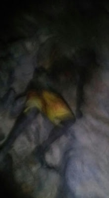 Cadáver é encontrado no rio Jacuba, em Campos Belos, em avançado estado de decomposição