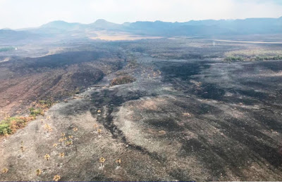 Chove na Chapada dos Veadeiros. Após tragédia, Perillo vai à cidade