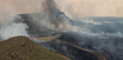 Atriz cobra providências de Marconi Perillo em relação a incêndio na Chapada dos Veadeiros