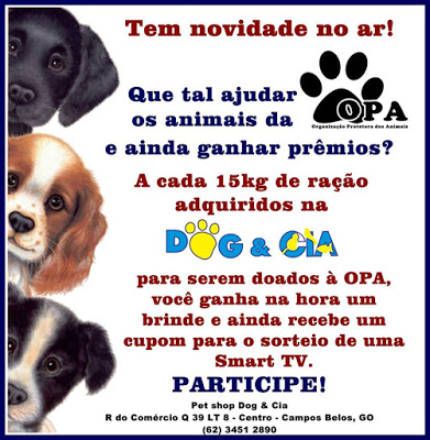 Em Campos Belos, ajude a OPA a cuidar dos cães abandonados