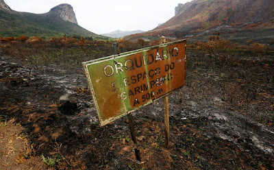 Combate ao fogo: um herói de Campos Belos