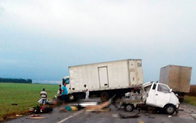 Dois morrem após veículo invadir pista contrária e bater de frente com caminhão na BR-020