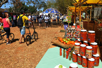 Virada do Cerrado 2018 acontecerá nos dias 29 e 30 de junho