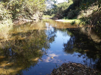 Audiência pública para discutir devastação do Rio Bezerra ocorre nesta terça-feira (19), em Arraias (TO)