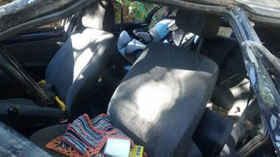 Milagre: em Novo Alegre (TO), carro capota, criança é arremessada e fica pendurada em árvore
