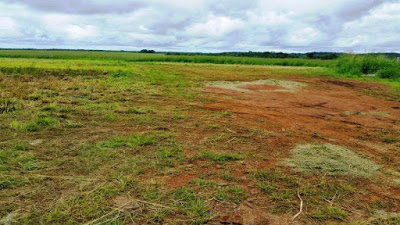 Justiça do Trabalho de Palmas realiza leilão