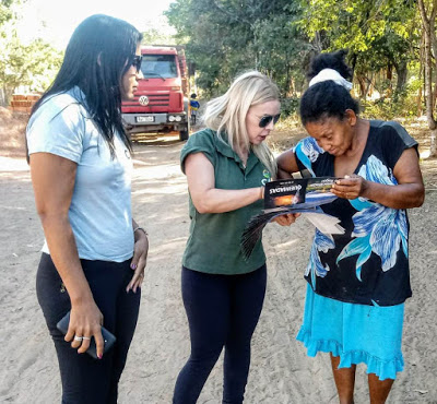 Equipe de prevenção e combate a incêndios realiza última ação em Paranã (TO)