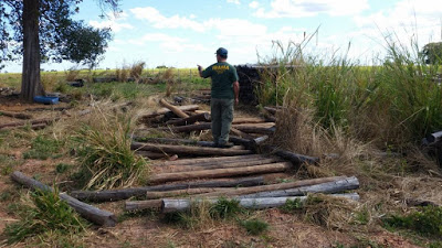 Operação contra desmatamento ilegal aplica mais de R$ 1,1 mi em multas na região de São Miguel do Araguaia