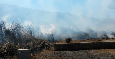 Dois são presos em Campos Belos, acusados de atearem fogo em lote baldio