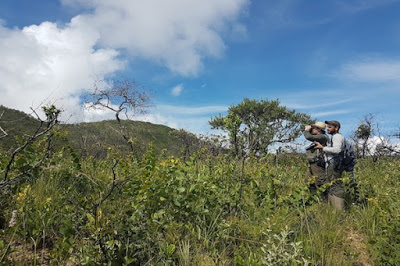 Cavalcante/GO: Documentário retrata como a savana mais rica do planeta responde ao fogo