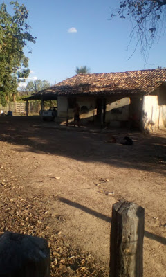 Achado corpo que pode ser de idoso desaparecido, em Monte Alegre (GO)