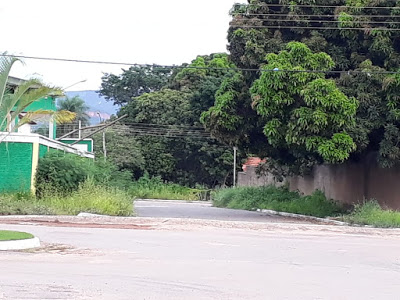 Leitores reclamam de sujeira, mato alto e muitos buracos nas ruas de Ponte Alta do Bom Jesus (TO)