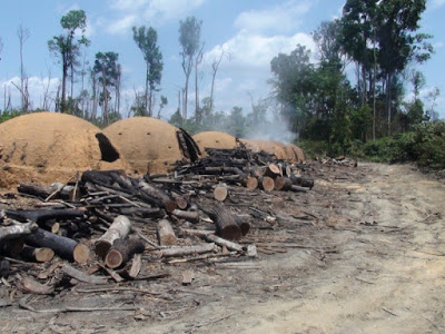 Proprietário de fazenda em Arraias é enquadrado por trabalho escravo e multado em R$ 300 mil