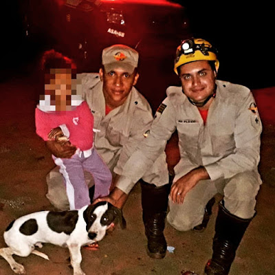 Cachorro acompanha, guarda e ajuda Bombeiros a encontrar criança perdida em mata da zona rural de Posse (GO)