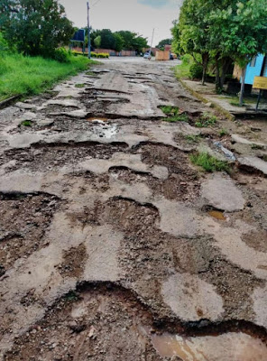 Imagem do Dia: Rua de Novo Alegre (TO)